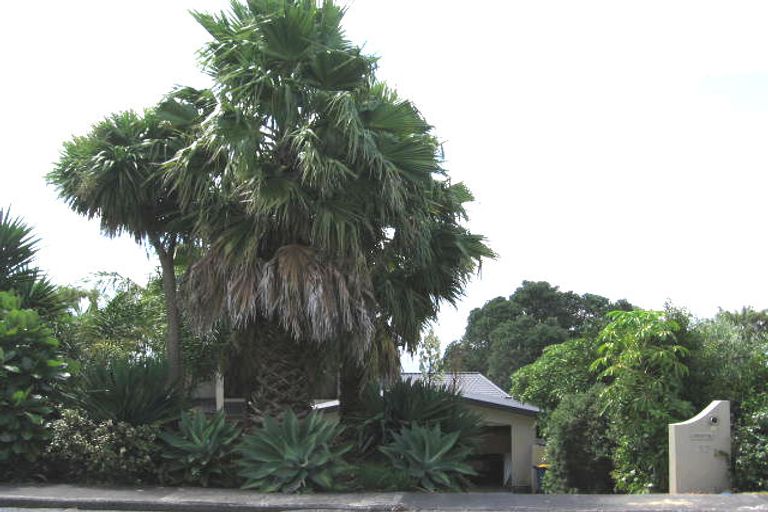 Photo of property in 17 Prospect Terrace, Milford, Auckland, 0620