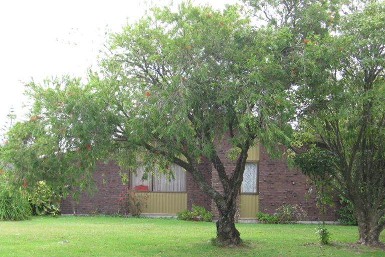 Photo of property in 20 Ti Nana Crescent, Henderson, Auckland, 0610