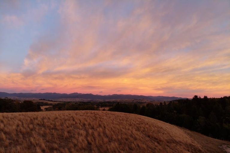 Photo of property in 490 Bluff Rangitumau Road, Rangitumau, Masterton, 5871