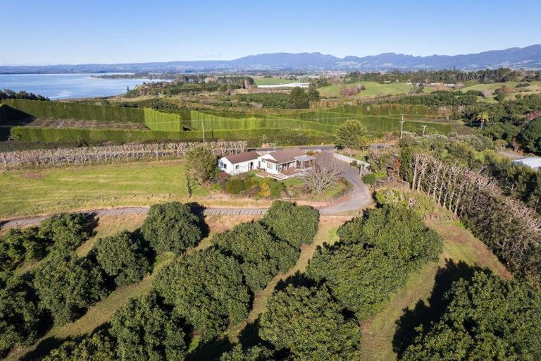 Photo of property in 263 Kauri Point Road, Tahawai, Katikati, 3170