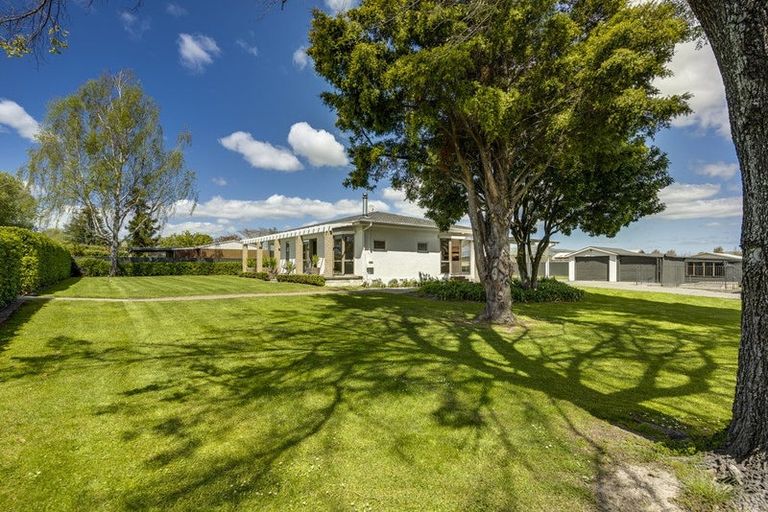 Photo of property in 113 Havelock Road, Havelock North, 4130