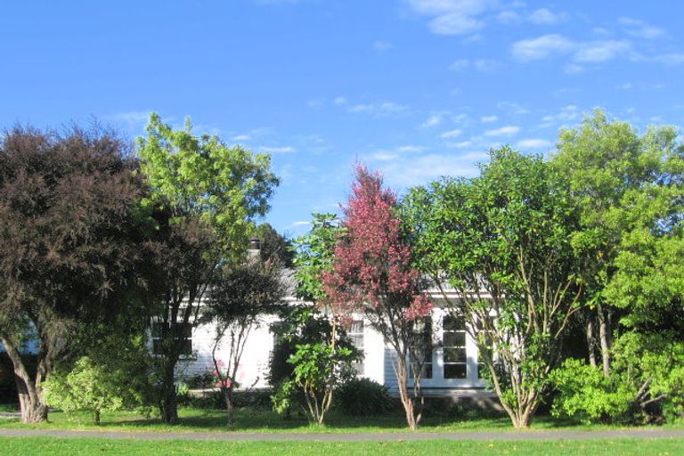 Photo of property in 56 Gordon Street, Mangapapa, Gisborne, 4010