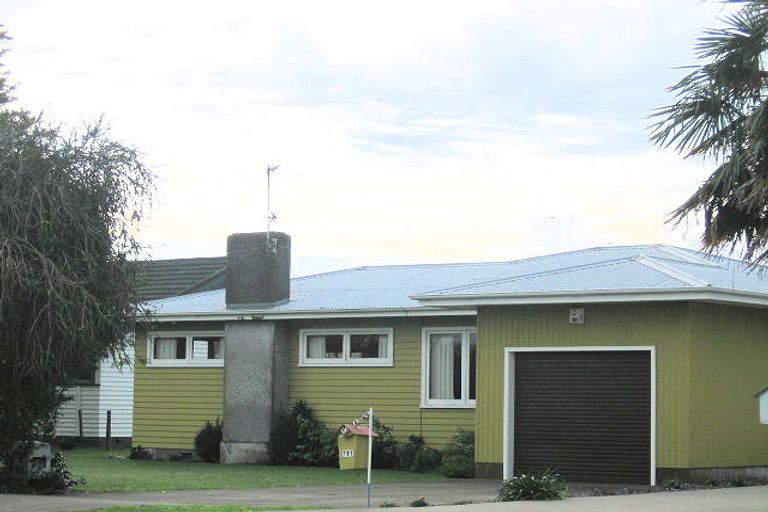 Photo of property in 711 Williams Street, Mahora, Hastings, 4120