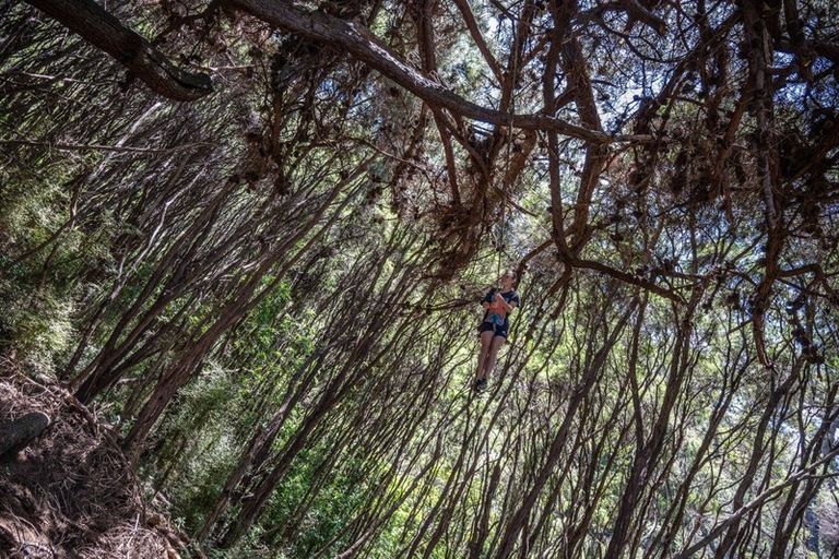 Photo of property in 242 Little Akaloa Road, Little Akaloa, Akaroa, 7583