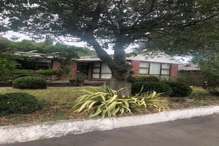 Photo of property in 55 Springbank Street, Bryndwr, Christchurch, 8053