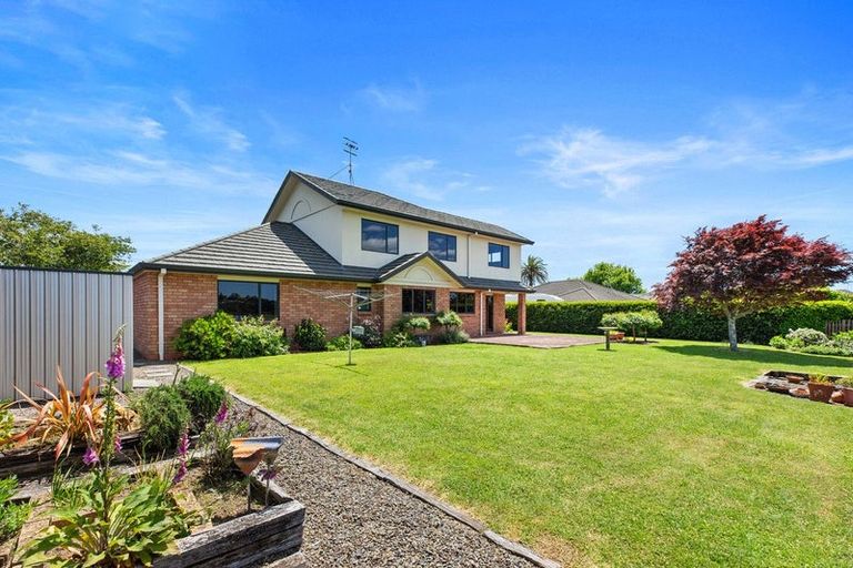 Photo of property in 124 Bethlehem Heights, Bethlehem, Tauranga, 3110