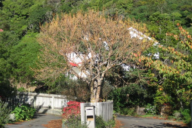 Photo of property in 8a Tawa Street, Eastbourne, Lower Hutt, 5013