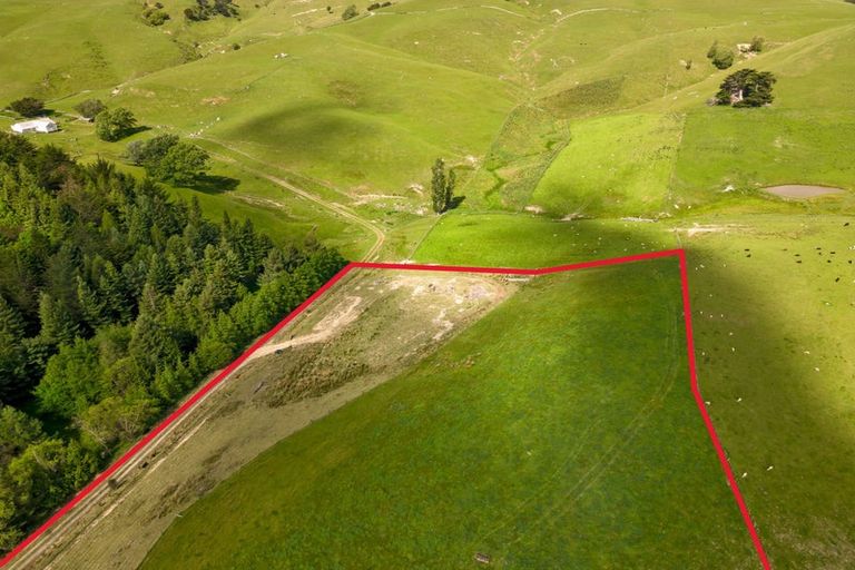 Photo of property in 490 Bluff Rangitumau Road, Rangitumau, Masterton, 5871