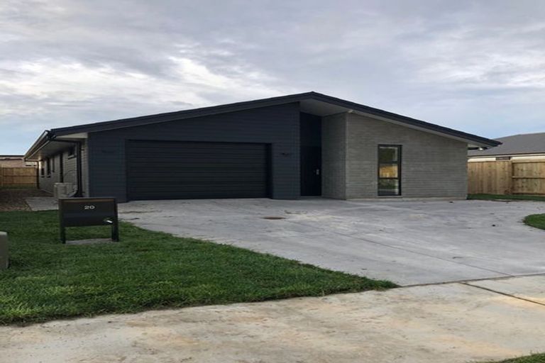 Photo of property in 20 Kuihi Street, Poike, Tauranga, 3112