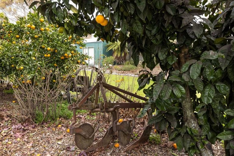 Photo of property in 17 Havelock Street, Renwick, 7204