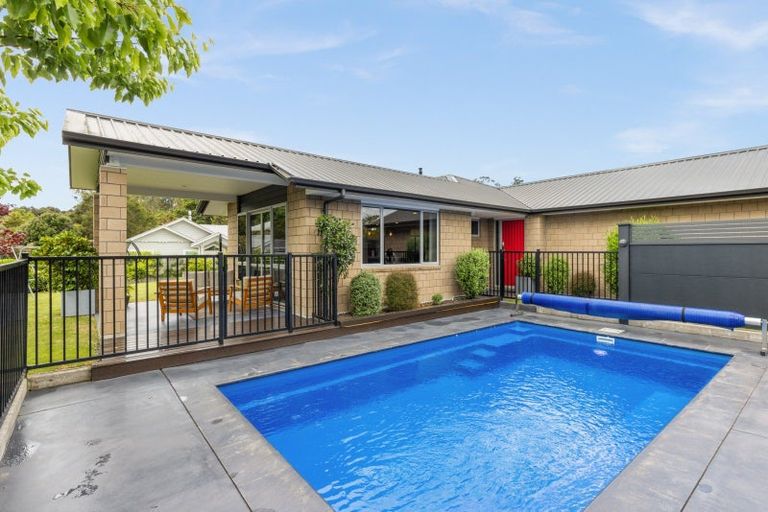 Photo of property in 17 Margaret Avenue, Havelock North, 4130