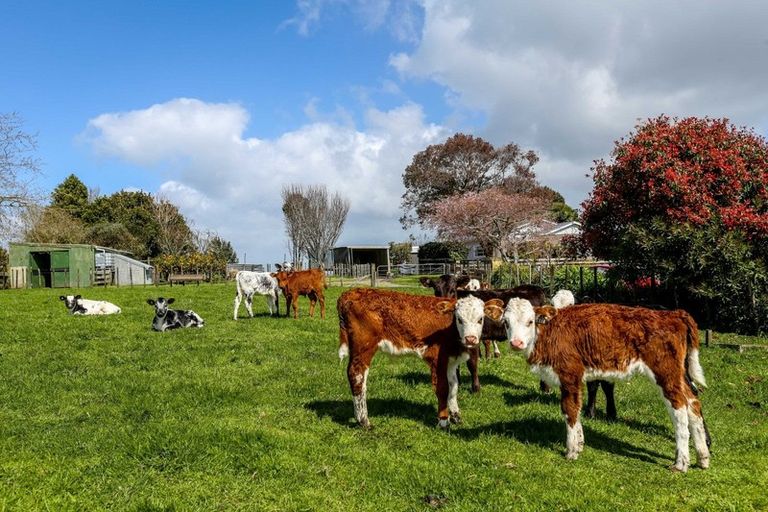 Photo of property in 826 Mokau Road, Mimi, Urenui, 4377