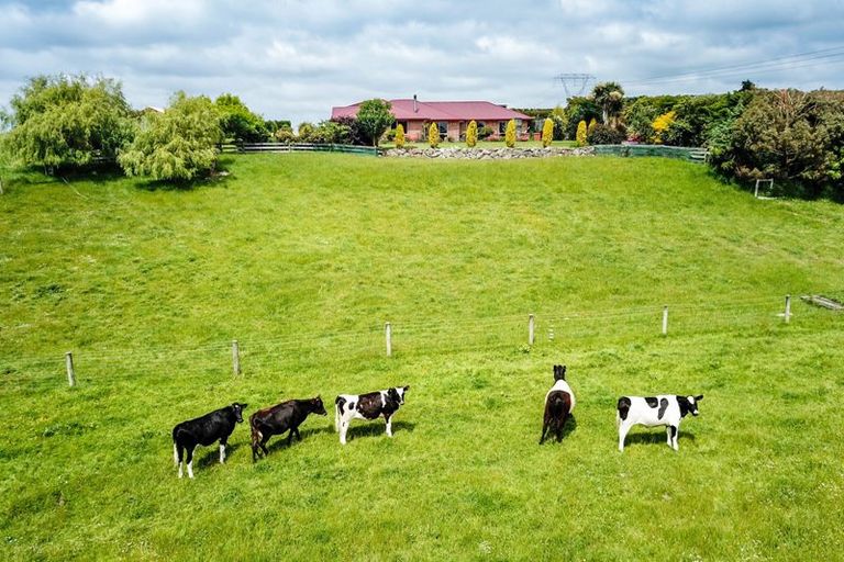 Photo of property in 374 Rosebrook Road, Claremont, Timaru, 7974