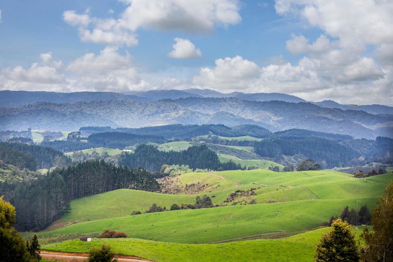 Photo of property in 1770a Ponga Road, Hunua, 2584