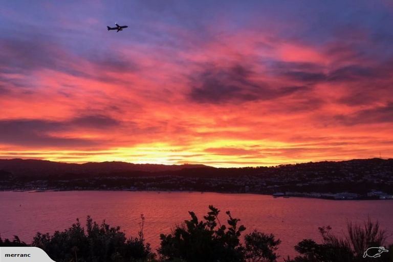 Photo of property in 26 Duchess Place, Maupuia, Wellington, 6022