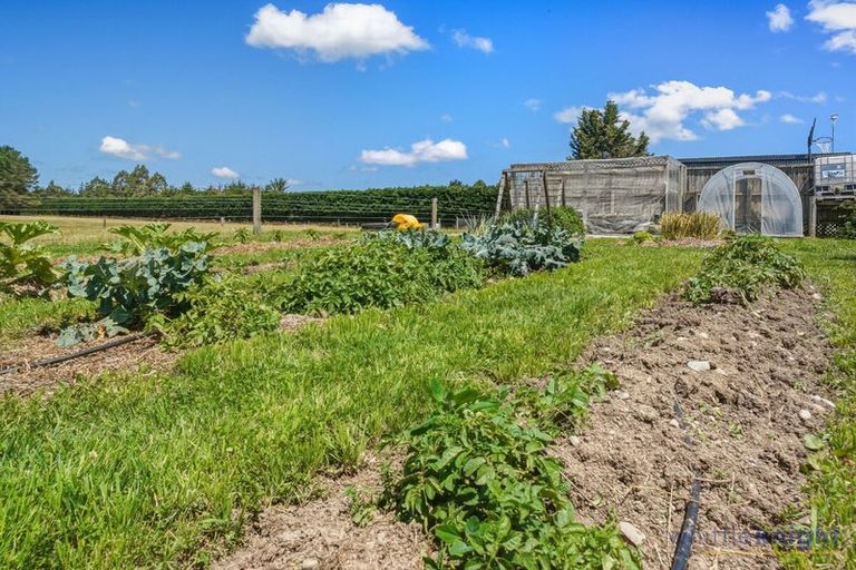 Photo of property in 143 Karanga Road, Dunsandel, Leeston, 7682