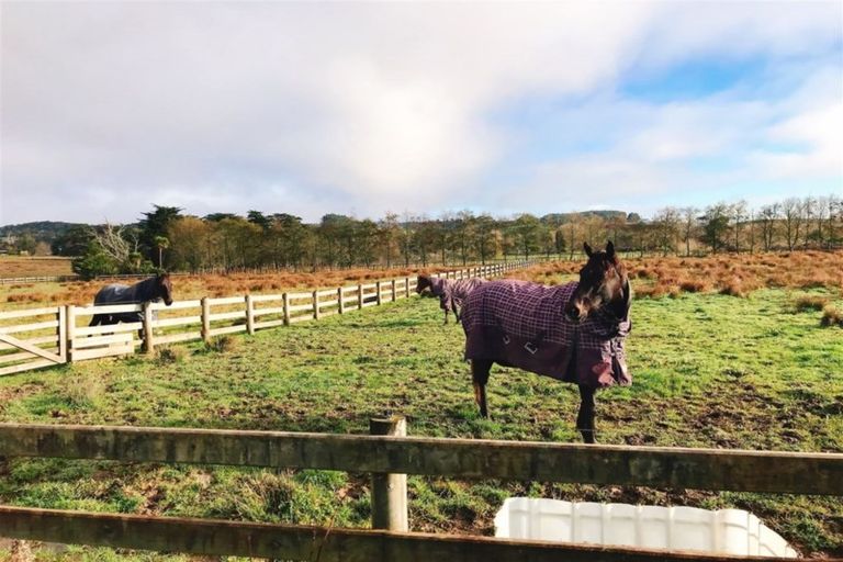 Photo of property in 1 Blackbridge Road, Wadestown, Wellington, 6012