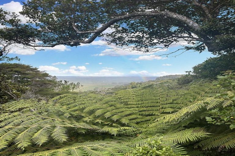 Photo of property in 229 Kokako Heights, Matata, 3194