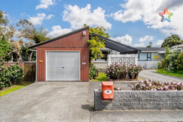 Photo of property in 48 Kings Crescent, Hutt Central, Lower Hutt, 5010
