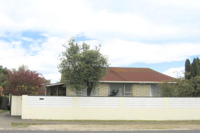 Photo of property in 163 Tamamutu Street, Taupo, 3330