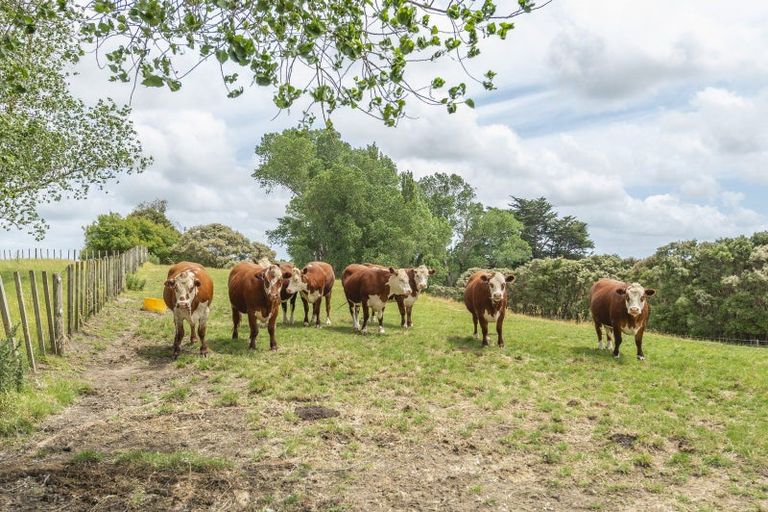 Photo of property in 1358 Makirikiri Road, Turakina, Marton, 4789