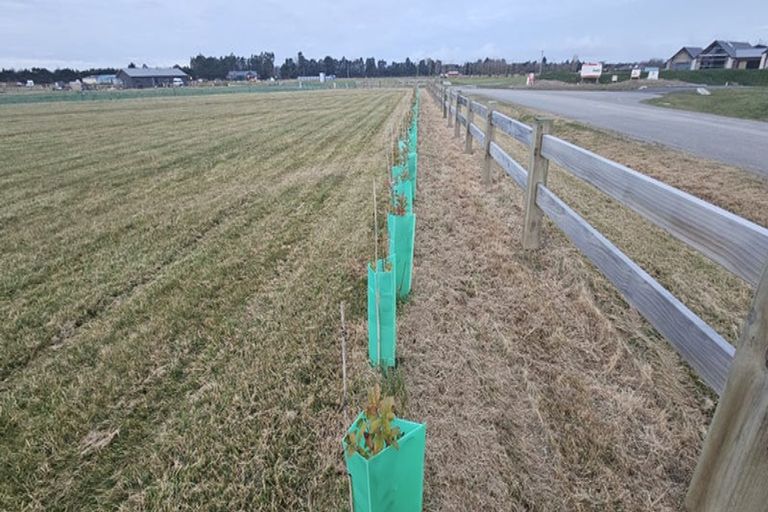 Photo of property in 13 Meadowlands Green, Allenton, Ashburton, 7700