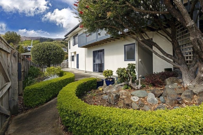 Photo of property in 12 Greenwood Place, Richmond, 7020