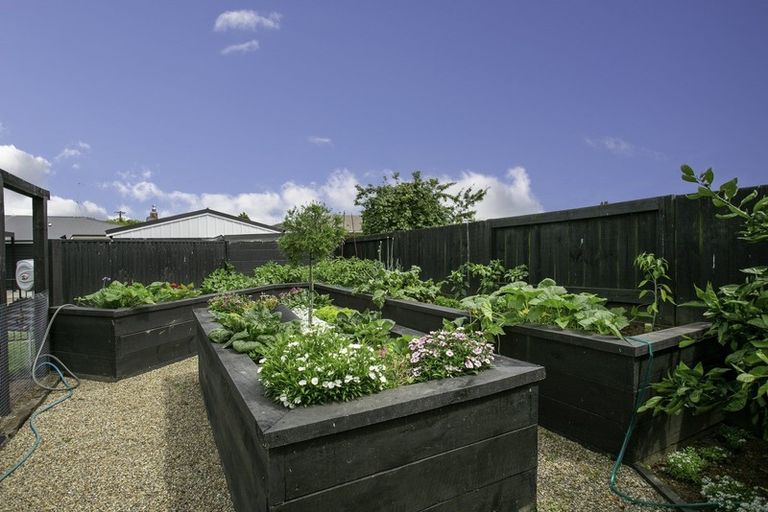 Photo of property in 9 Froude Street, Leamington, Cambridge, 3432