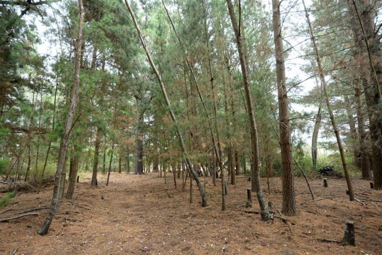 Photo of property in 209 Spencerville Road, Ouruhia, Christchurch, 8083