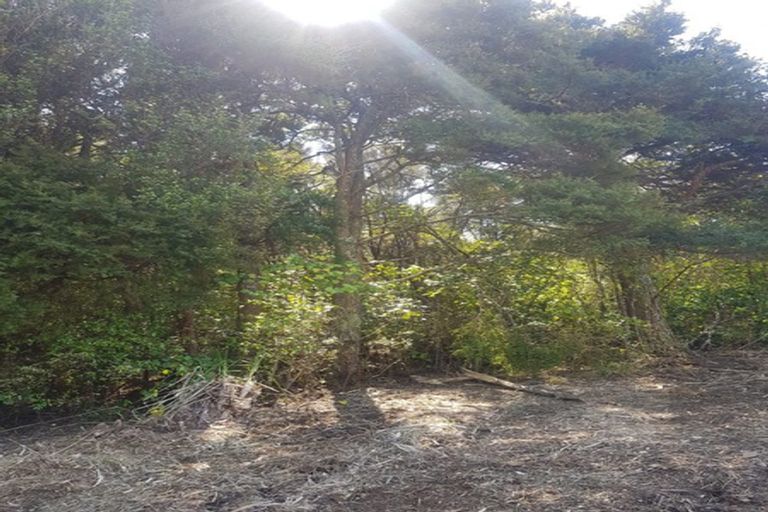 Photo of property in 306 Maunu Road, Horahora, Whangarei, 0110