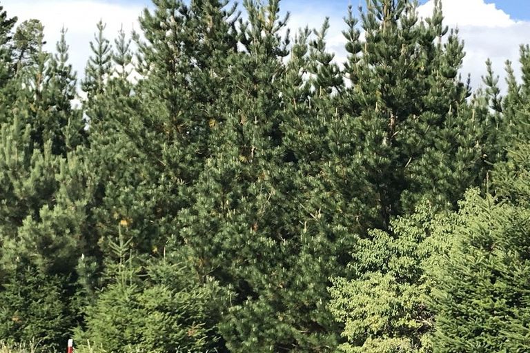 Photo of property in 487 Whangamata Road, Kinloch, Taupo, 3377