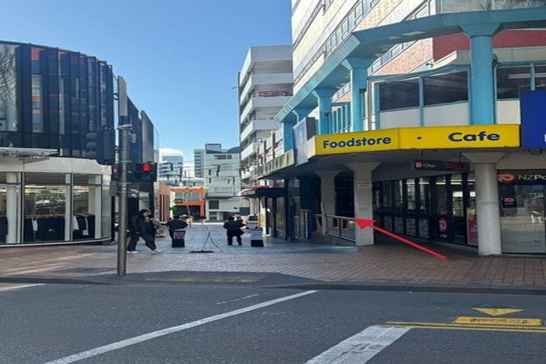Photo of property in Regency Apartments, 2b/49 Manners Street, Te Aro, Wellington, 6011
