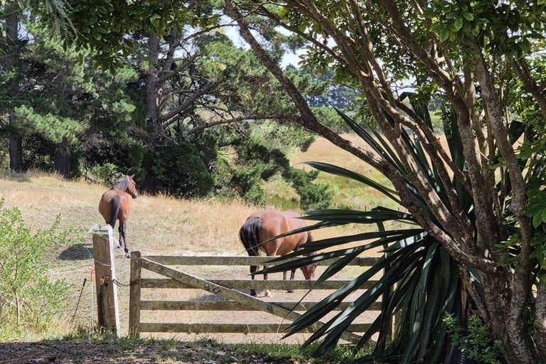Photo of property in 54 Otaihanga Road, Otaihanga, Paraparaumu, 5036