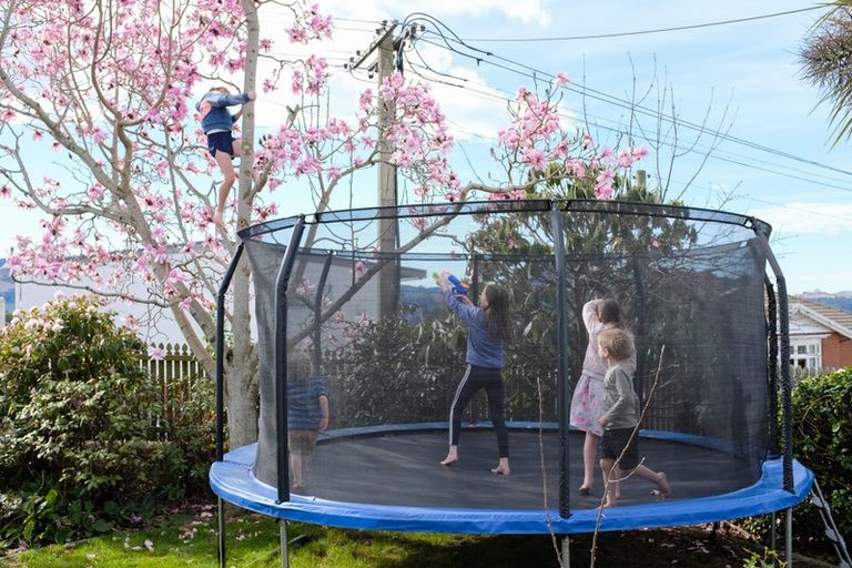 Photo of property in 18 Sheen Street, Roslyn, Dunedin, 9010