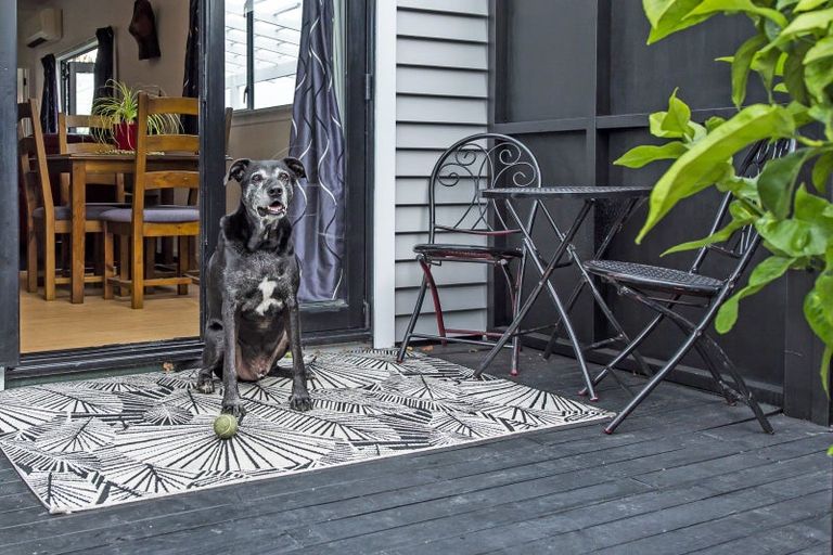 Photo of property in 608 Madras Street, St Albans, Christchurch, 8014