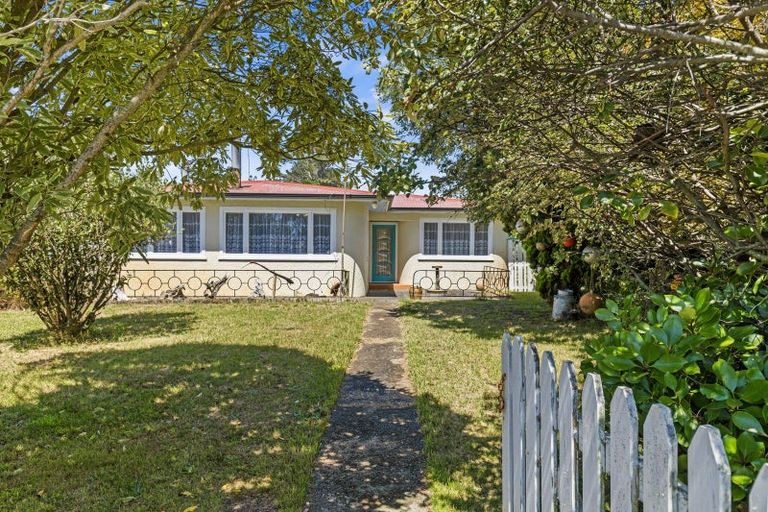 Photo of property in 49 Punga Street, Tangimoana, 4822