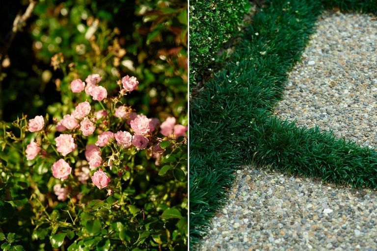 Photo of property in 14 River Oaks Drive, Tauriko, Tauranga, 3110