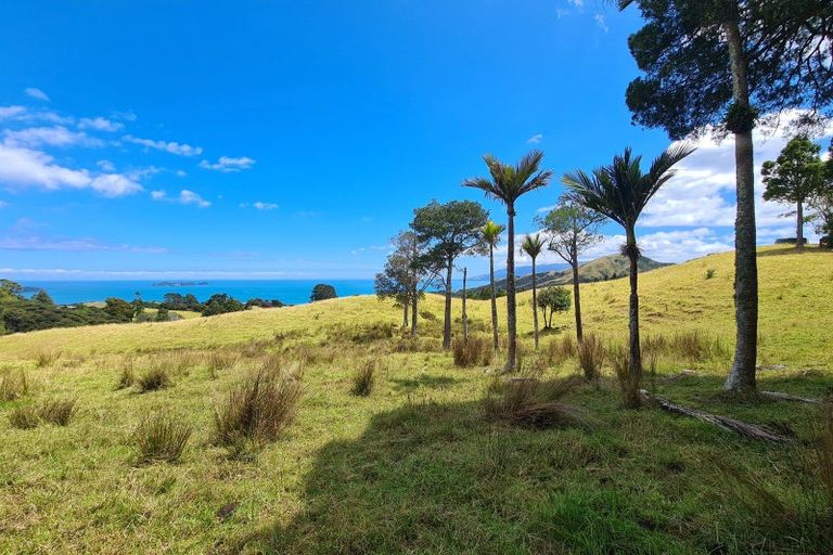 Photo of property in 1702 Colville Road, Amodeo Bay, Coromandel, 3584