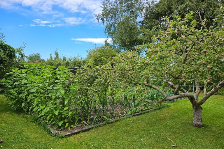Photo of property in 7 Point Bush Road, Waimate, 7924