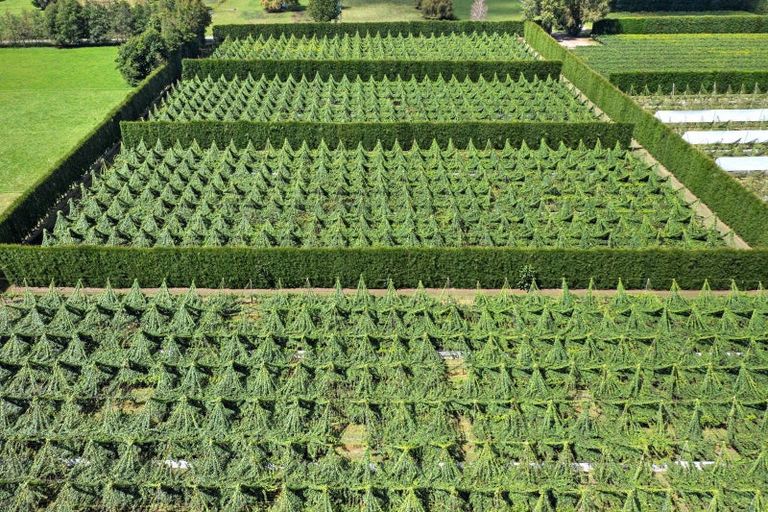 Photo of property in 121 Macdonald Road, Te Teko, Whakatane, 3192