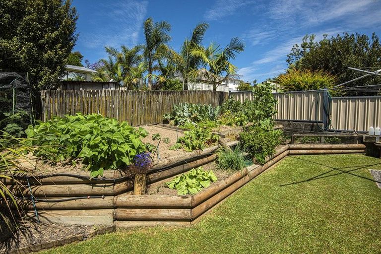 Photo of property in 35 Yorke Road, Haruru, 0204