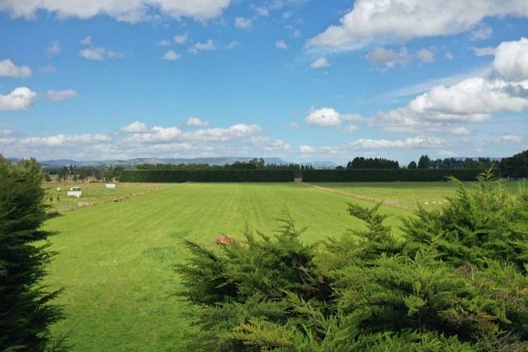 Photo of property in 85 George Street, Edendale, 9825