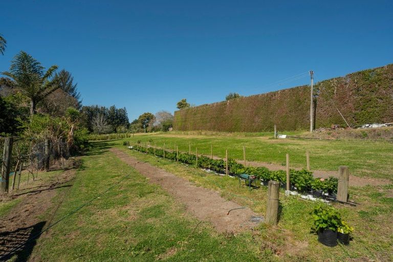 Photo of property in 105 Jess Road, Whakamarama, Tauranga, 3172