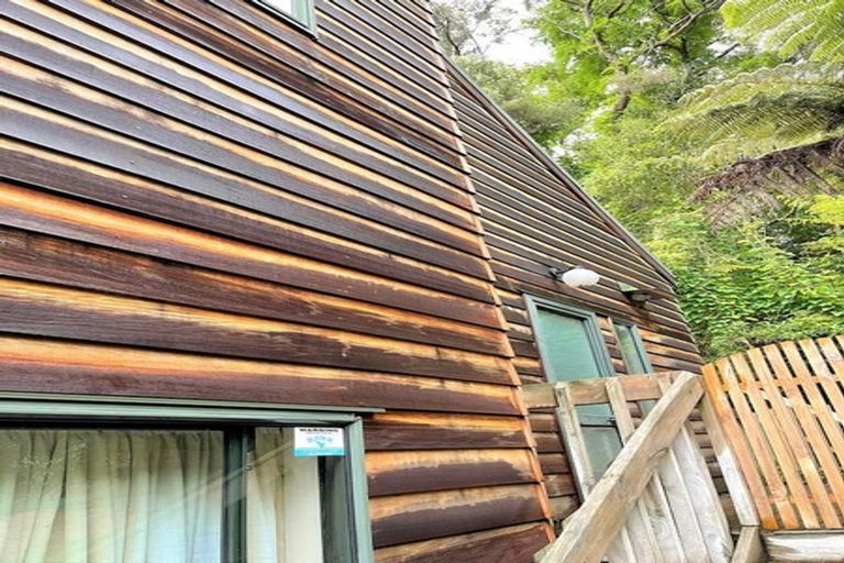 Photo of property in 50 Sunnyhaven Avenue, Beach Haven, Auckland, 0626