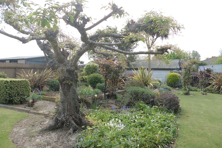 Photo of property in 57 Studholme Street, Temuka, 7920