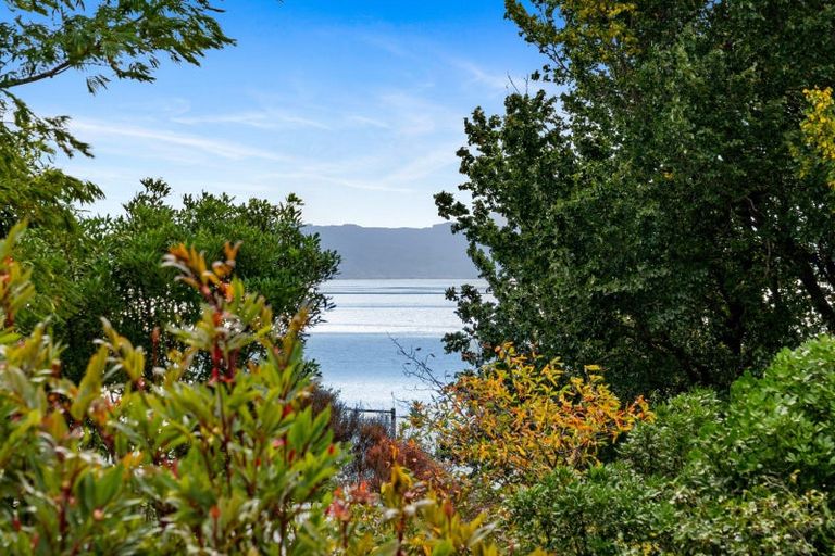 Photo of property in 13 Roslyn Road, Bluff Hill, Napier, 4110