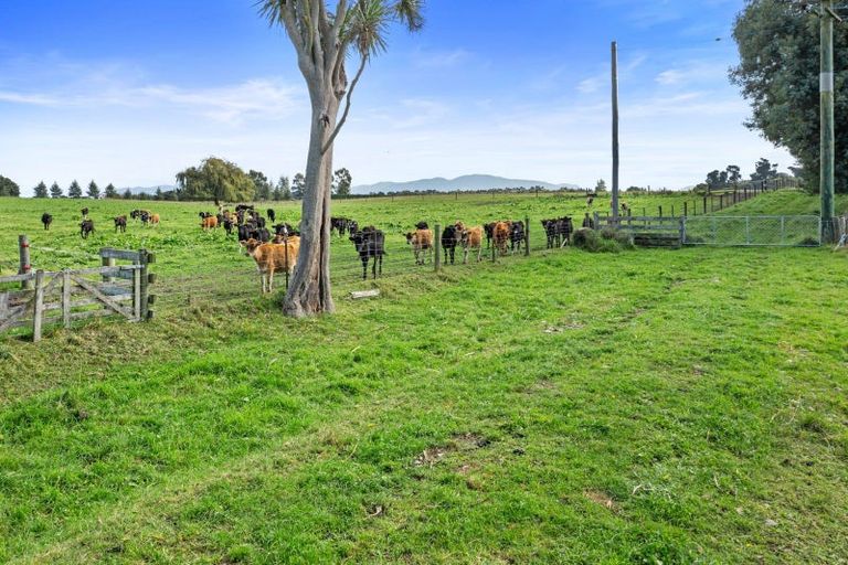 Photo of property in 920 Oxford Road, Fernside, Rangiora, 7471