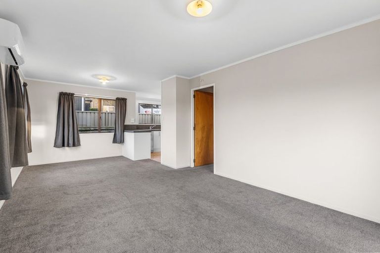 Photo of property in 141c Maungatapu Road, Maungatapu, Tauranga, 3112