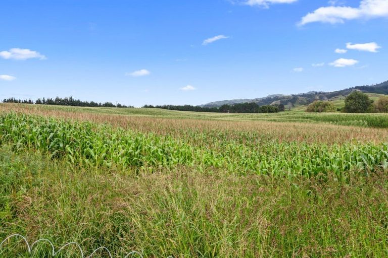 Photo of property in 1337 East Coast Road, Whakatiwai, Pokeno, 2473