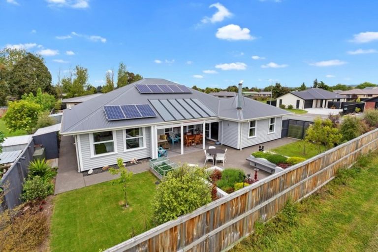 Photo of property in 22 Wineberry Avenue, Amberley, 7410